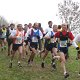 IMG_1365